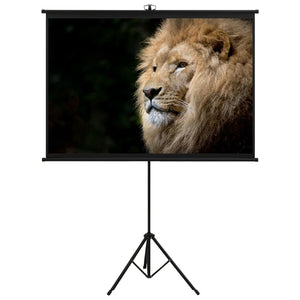 Galleria Design Projection Screen with Tripod 81" 1:1