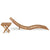 Galleria Design Folding Sun Lounger with Table Solid Teak Wood