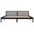Galleria Design Bed Frame without Mattress Solid Wood Pine 200x200cm Black